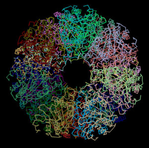 The proteasome recycles old, unused, or misfolded proteins, and could be a powerful target for some forms of breast cancer.