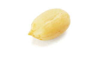 Single peanut unsalted-Shutterstock