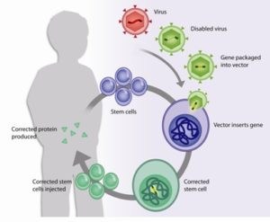 Wiskott-Aldrich syndrome WAS gene therapy Dana-Farber/Boston Children's Cancer and Blood Disorders Center