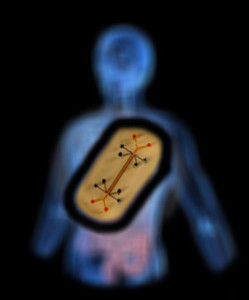 Organs-on-chips drug testing drug discovery mechanobiology microfluidics Wyss Institute Vascular Biology Program